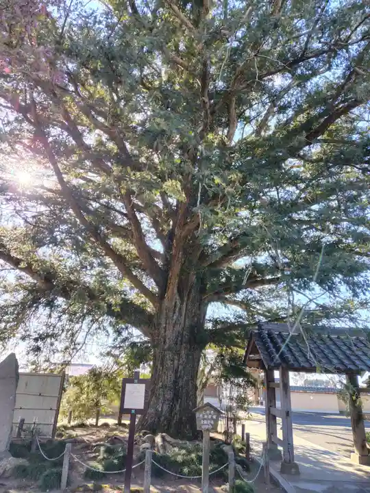 金剛定寺(栃木県)