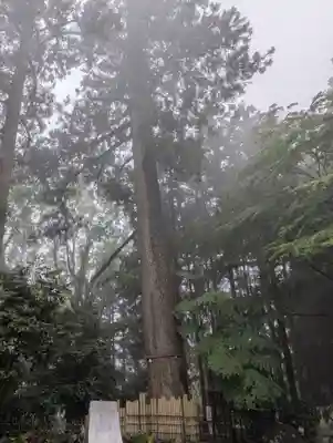 水澤寺(水澤観世音)(群馬県)