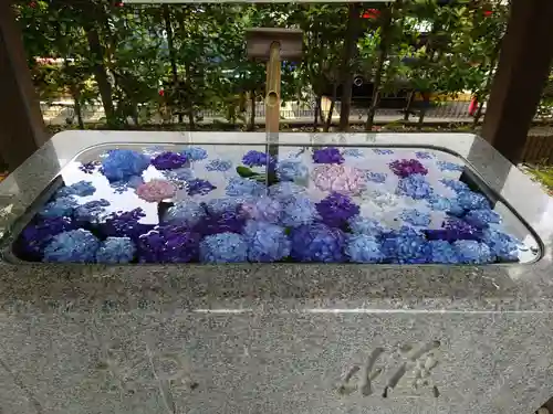 桜神宮(東京都)