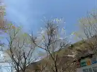 劔神社(徳島県)