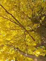 伊達神社(北海道)