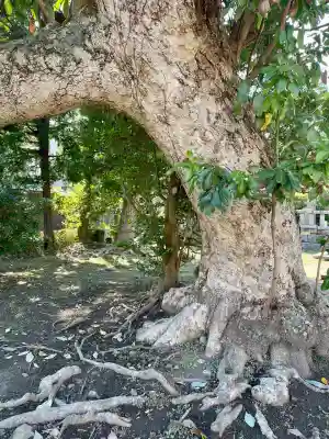 八坂大神(神奈川県)