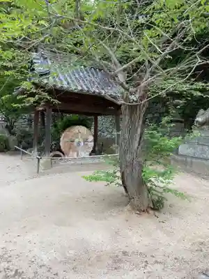 由加山 由加神社本宮(岡山県)