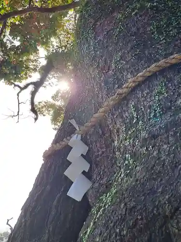 三嶋大社(静岡県)