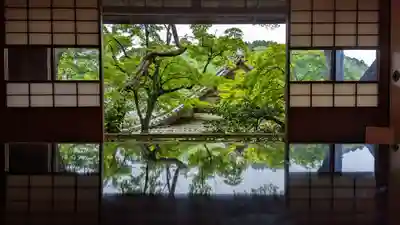柳谷観音　楊谷寺(京都府)