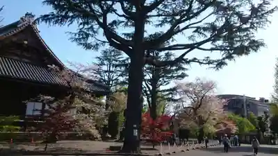 寛永寺(根本中堂)(東京都)