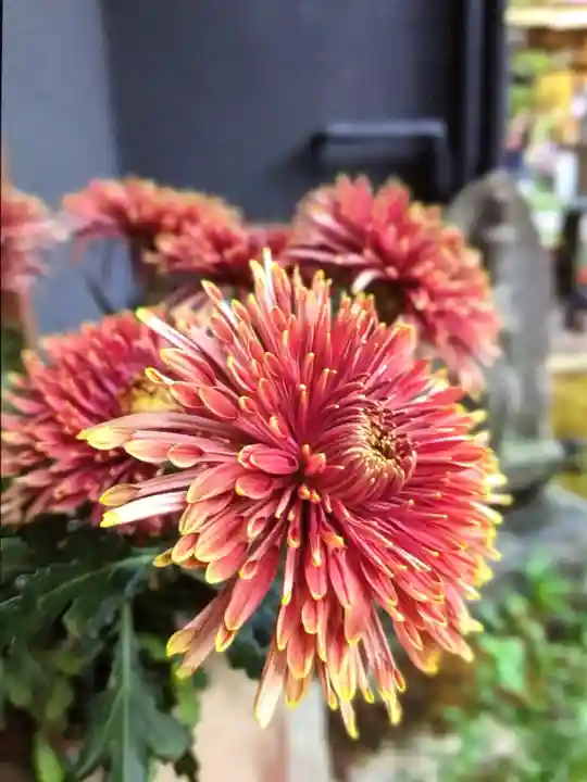 陽運寺(東京都)