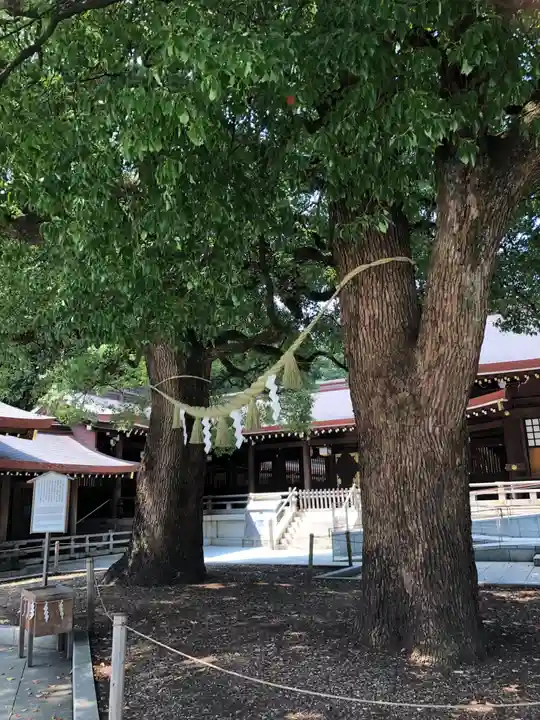 明治神宮の自然