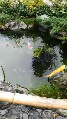 蛇窪神社の庭園