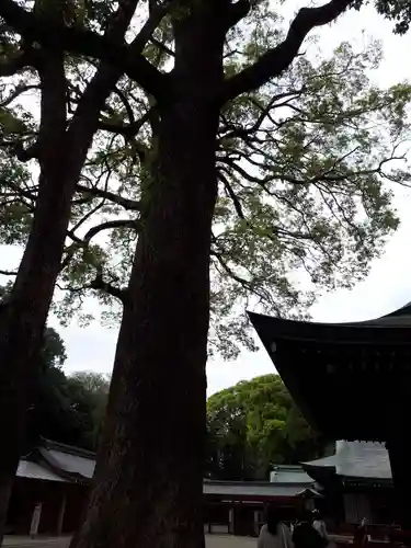武蔵一宮氷川神社のその他建物