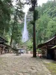 飛瀧神社（熊野那智大社別宮）の自然