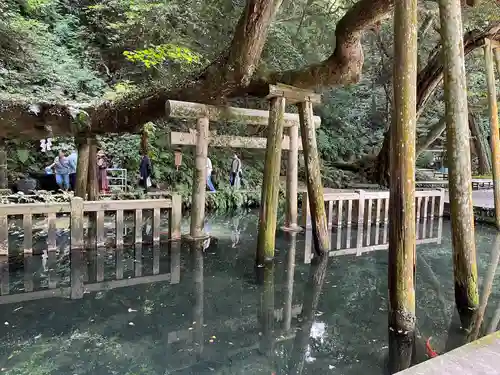 鹿島神宮(茨城県)