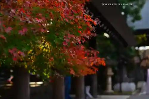 靖國神社(東京都)