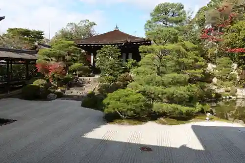 仁和寺の庭園