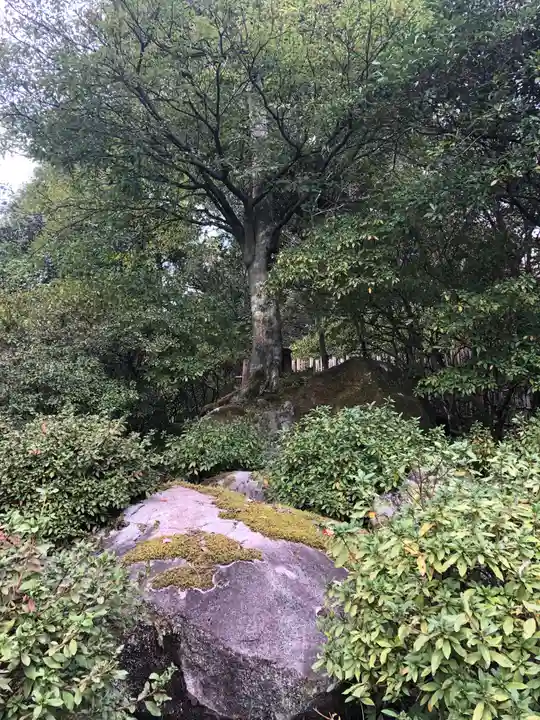 大興善寺の自然