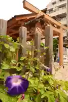 【閉業】小石川大神宮(東京都)