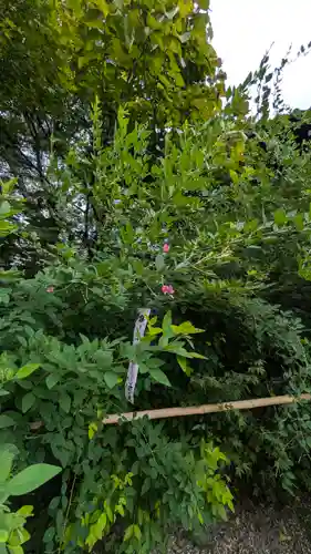 梨木神社(京都府)