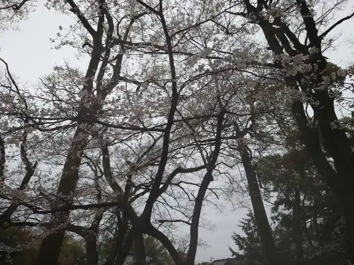 大井神社(静岡県)