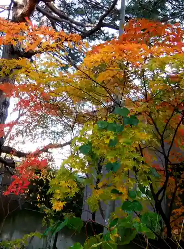 札幌伏見稲荷神社の自然