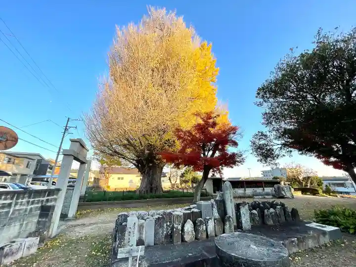 宗英寺(三重県)