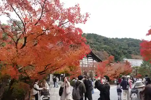 禅林寺（永観堂）(京都府)
