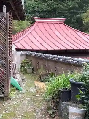 光珠院(埼玉県)