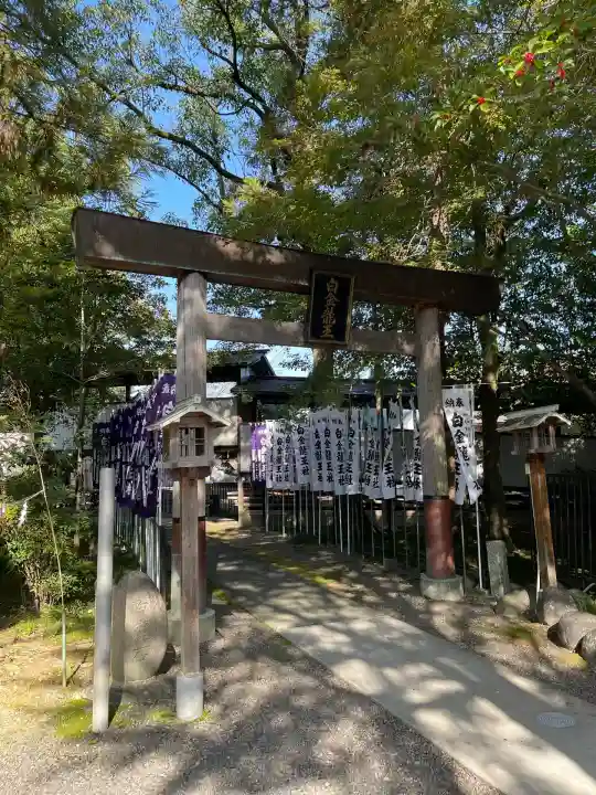 白金龍王社(愛知県)