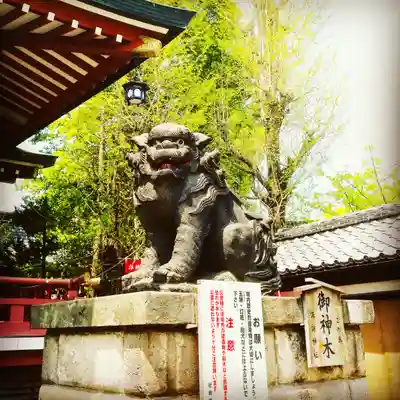 諏訪神社の狛犬