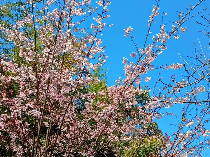 大海神社(住吉大社摂社)(大阪府)