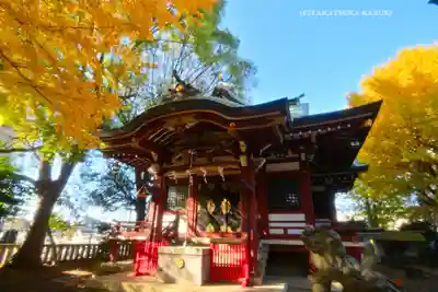 小金八坂神社(千葉県)