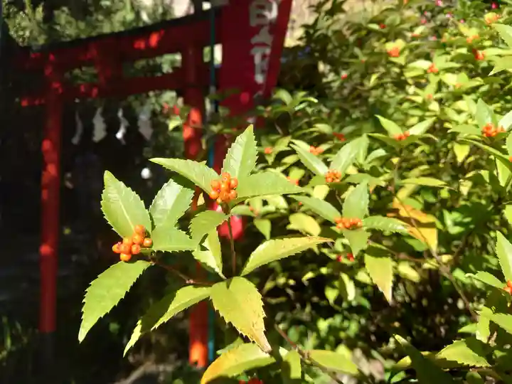 大綱金刀比羅神社(神奈川県)