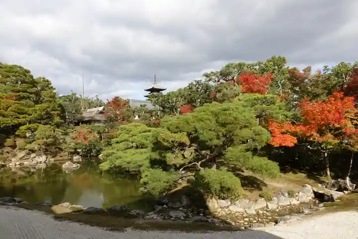 仁和寺の庭園