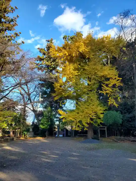 雄琴神社(栃木県)