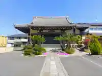 日照寺の本殿・本堂