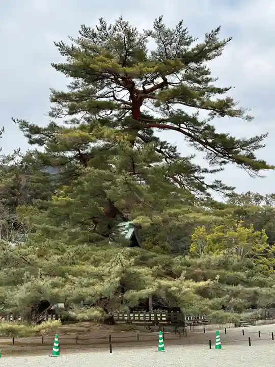 橿原神宮の自然