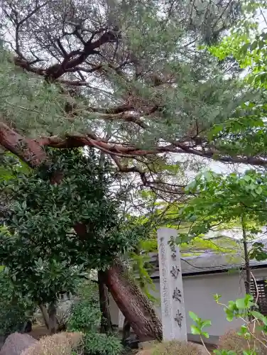 妙安寺の{uncategorized: "未分類", other: "その他", undefined: "問題あり", building: "その他建物", grave: "お墓", sacred_gate: "鳥居", guardian: "狛犬", statue: "像", buddha: "仏像", history: "歴史", nature: "自然", garden: "庭園", animal: "動物", pagoda: "塔", temizu: "手水舎", mountain_gate: "山門・神門", sanctuary: "本殿・本堂", subordinate: "末社・摂社", art: "芸術", scenery: "景色", jizo: "地蔵", ema: "絵馬", goshuin: "御朱印", omikuji: "おみくじ", items: "授与品その他", amulet: "お守り", goshuincho: "御朱印帳", eats: "食事", festival: "お祭り", votive_dance: "神楽", shichigosan: "七五三参", wedding: "結婚式", experience: "体験その他", initially: "初詣", around: "周辺", anti_infection: "感染症対策"}