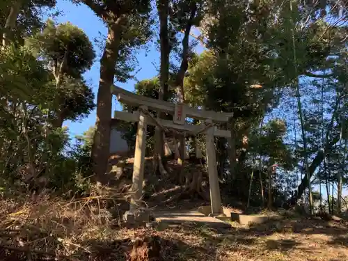 浅間神社の鳥居