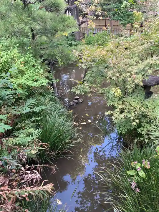 蟠龍寺(東京都)