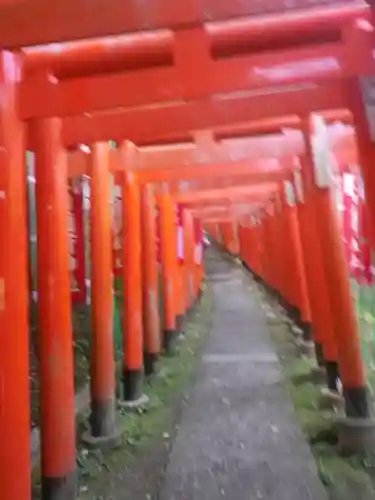 佐助稲荷神社の鳥居