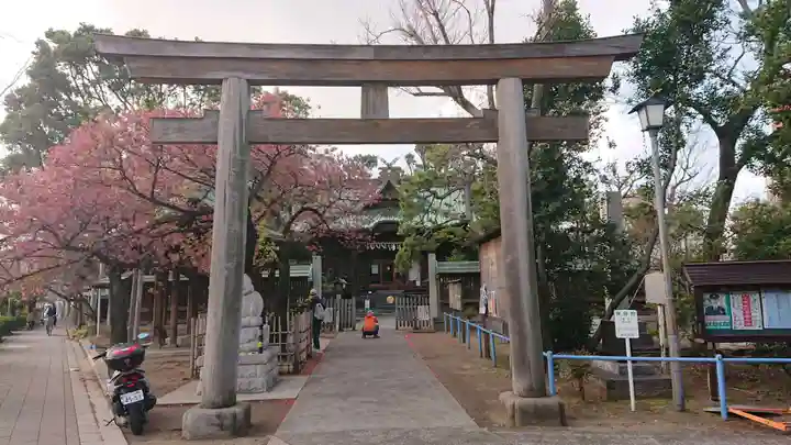 荏原神社の鳥居