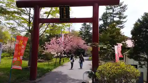 多賀神社の鳥居
