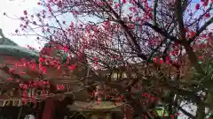 品川神社の自然