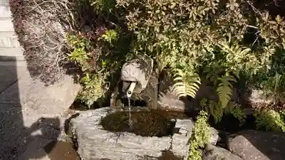 貫井神社の手水舎