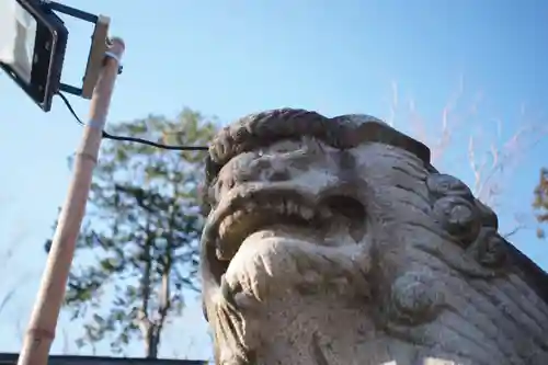 諏訪八幡神社の狛犬