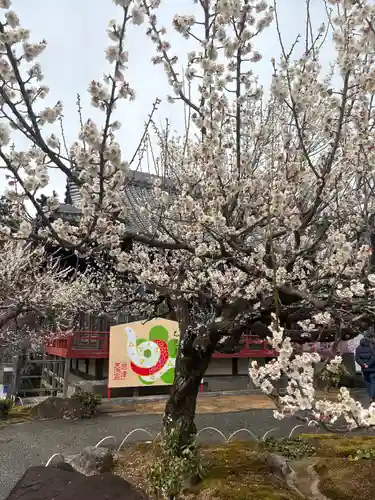 岩津天満宮(愛知県)