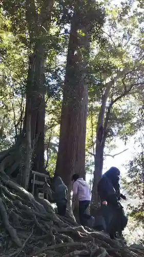 事任八幡宮の自然