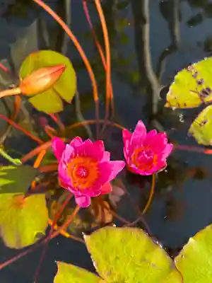 遍照寺(兵庫県)