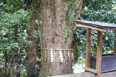 久能山東照宮(静岡県)