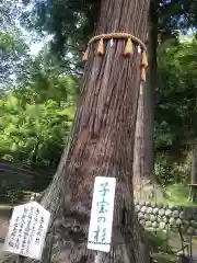 日枝神社の自然