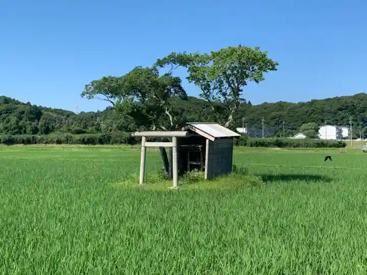 水神社(千葉県)